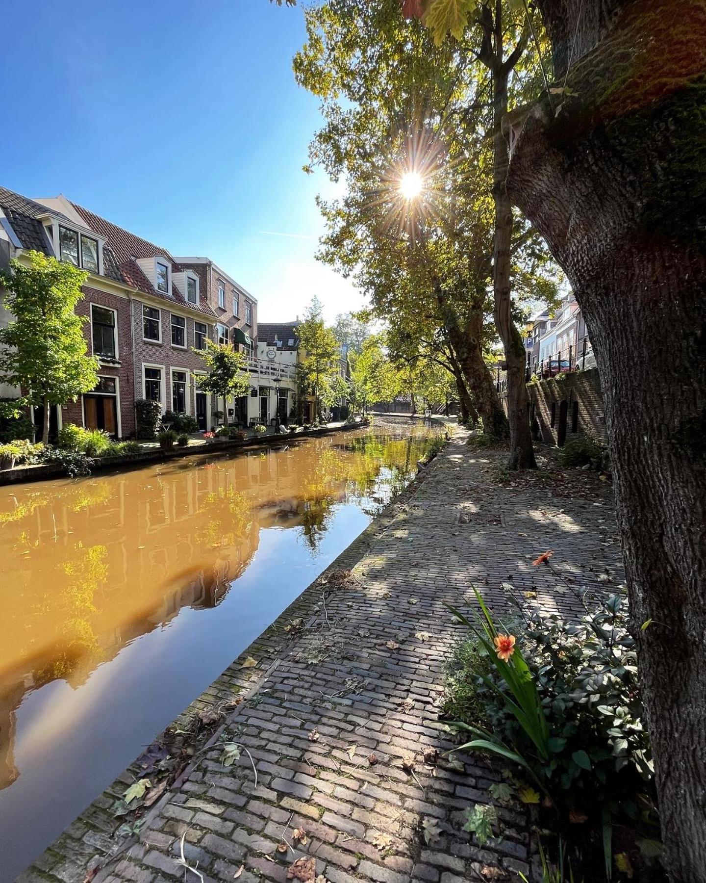 Boutique Hotel Museumkwartier Utrecht Kültér fotó